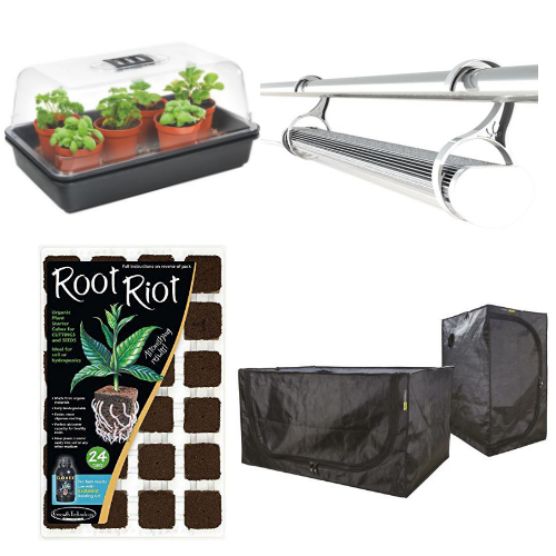 uploads/images/Logo Propagation