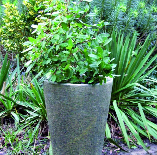 uploads/images/Lucasstone Vases and Urns Grand Long Tom Pot C2311