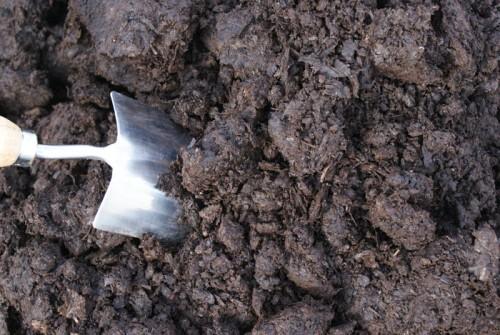 uploads/images/Matured Farmyard Manure 500x335