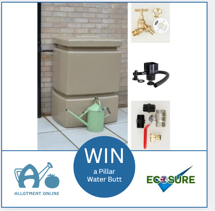 uploads/images/Mdzuqkjpj99zzikj