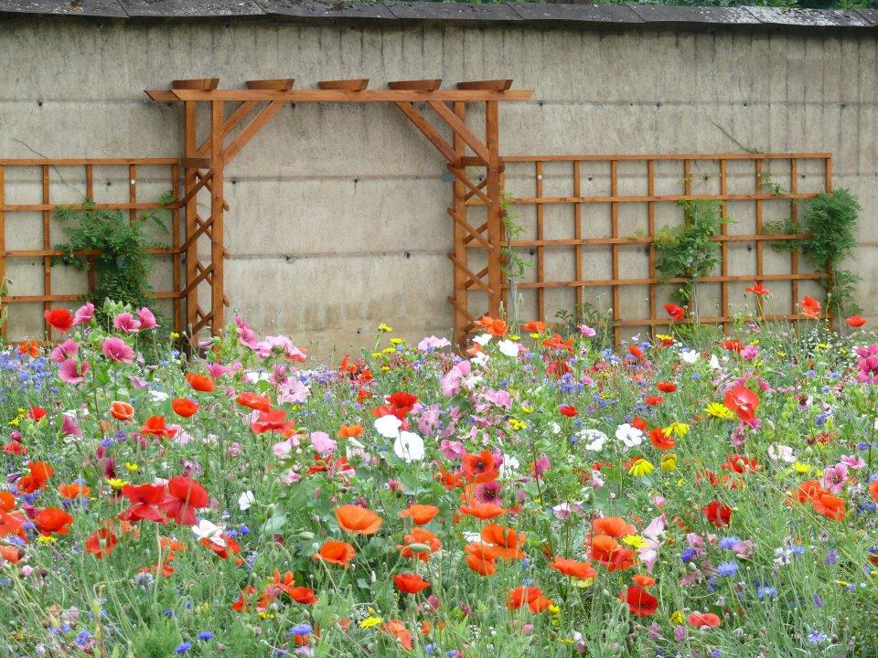 uploads/images/Minmyg Pic 2