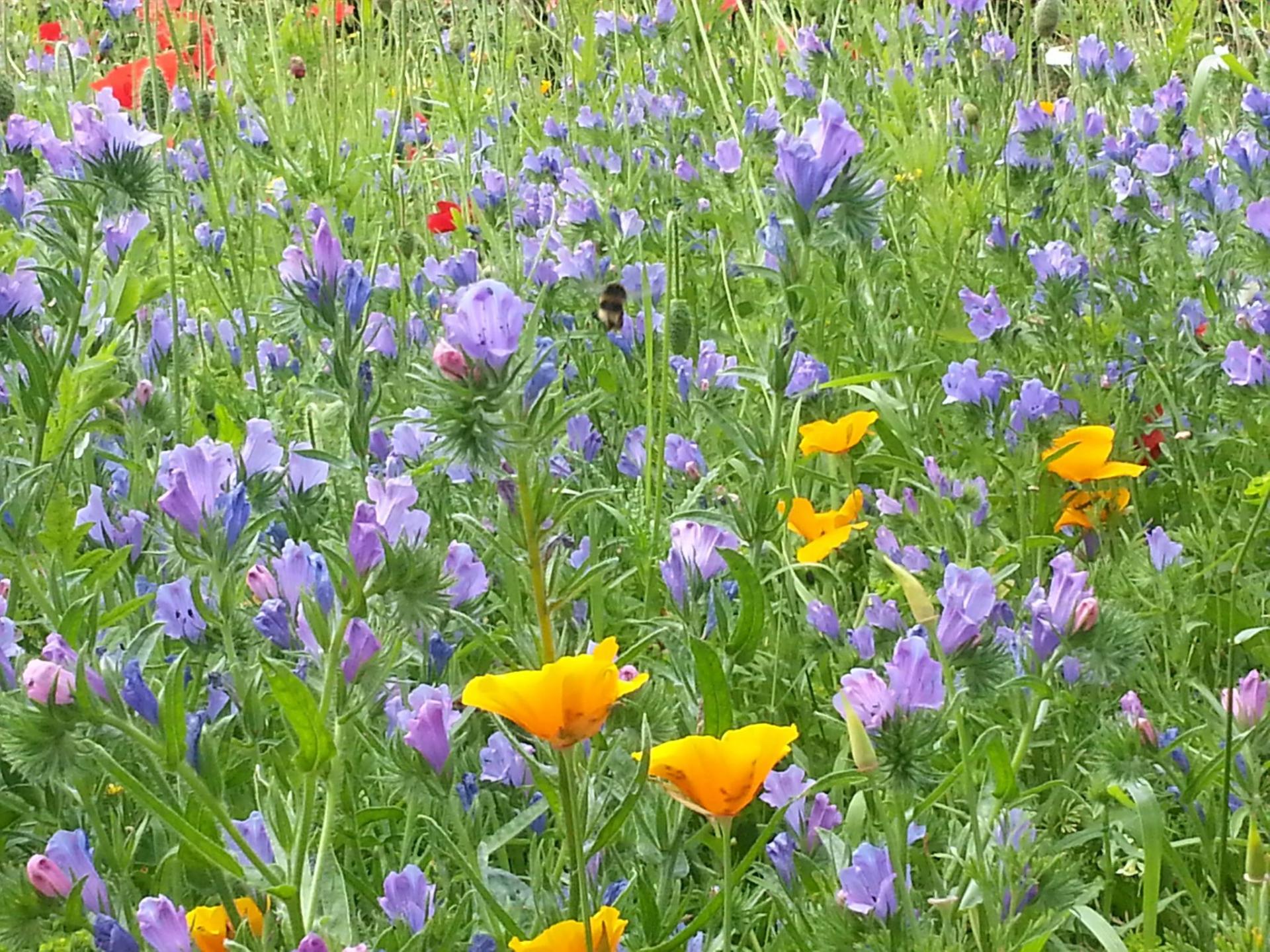 uploads/images/Minmyg Pic 3