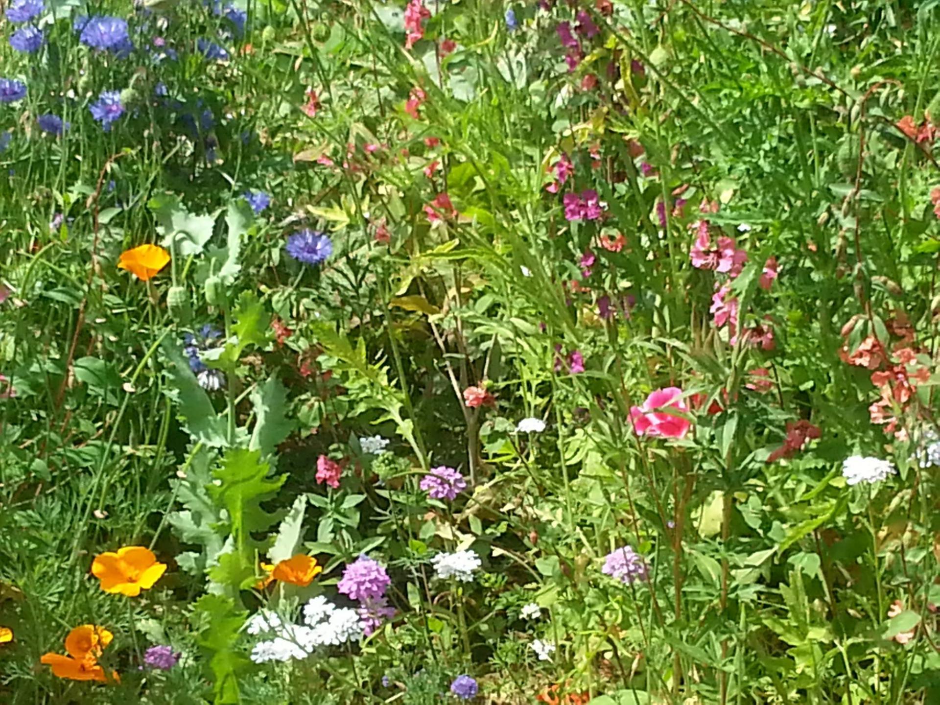 uploads/images/Minmyg Pic