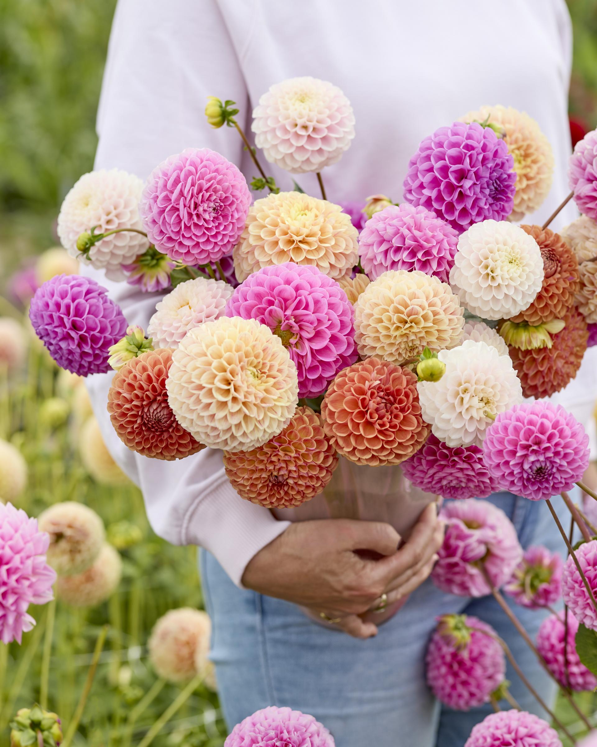 uploads/images/Mix5 2_01a8294