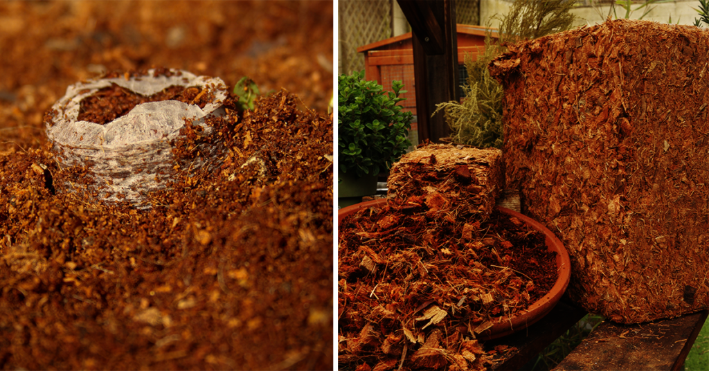 uploads/images/National Allotment Week 2023 Why Soil Health Matters 1024x536