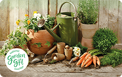 uploads/images/Nationalgarden Card Carrots Gc 2022 20220408153729 Large