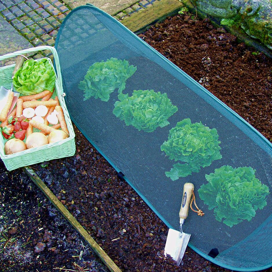 uploads/images/Net Cloche 939x939 870kb