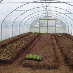 uploads/images/No Dig Gardening Ferryman Polytunnel 250x250 250x250