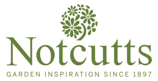 uploads/images/Notcutts Logo Green 01