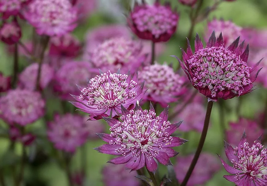 uploads/images/offers Jpg