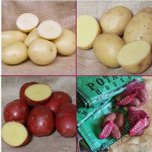 uploads/images/Potato House Organic Pack 25 Bamb Orla Setanta