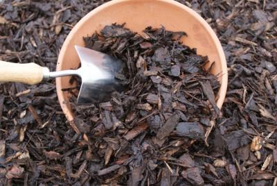 uploads/images/Ornamental Bark 400x268