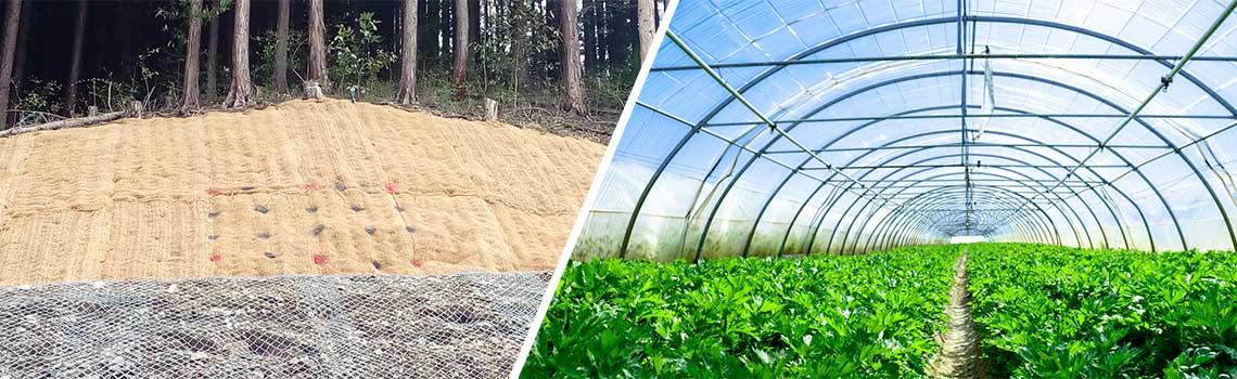 uploads/images/Our Story Image