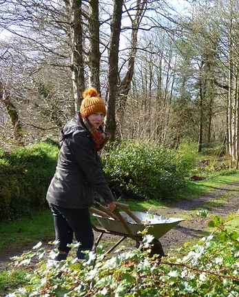 uploads/images/P1070251_jpg