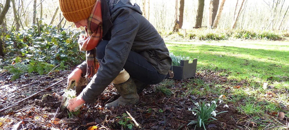 uploads/images/P1070257_edited