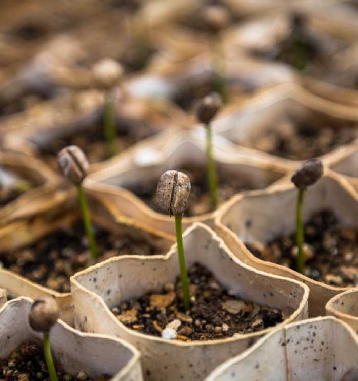 uploads/images/New to growing