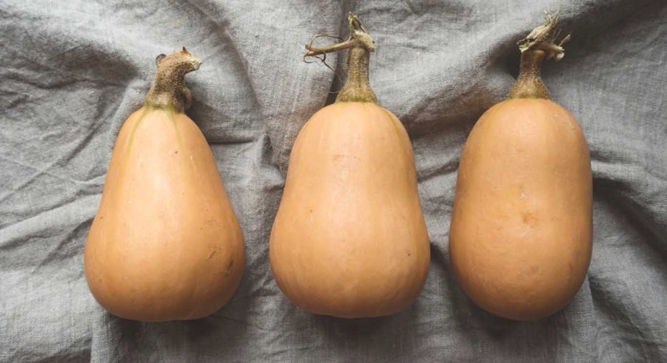 uploads/images/Butternut squash & sage macaroni cheese