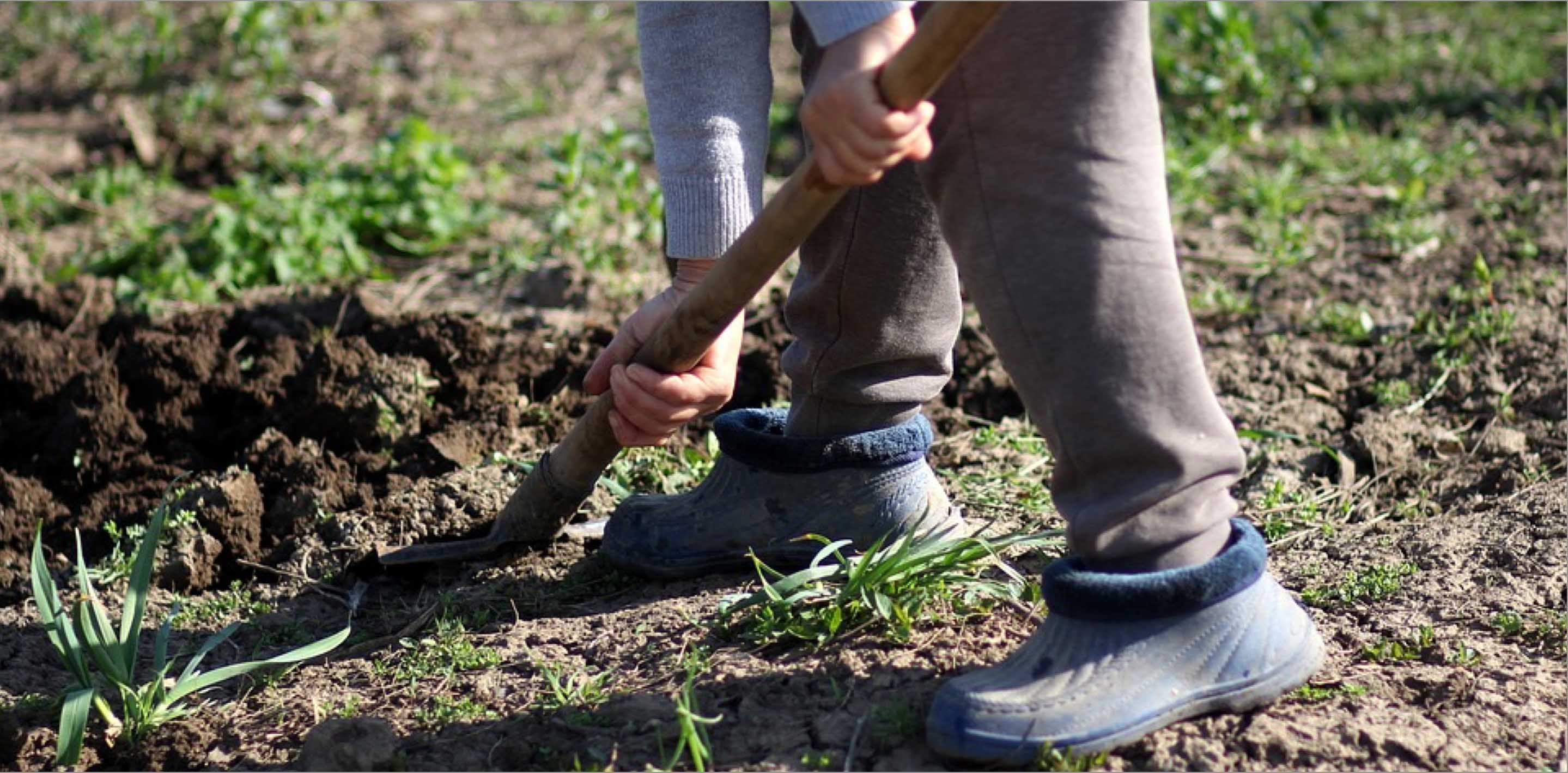 uploads/images/Welcome to Allotment Online