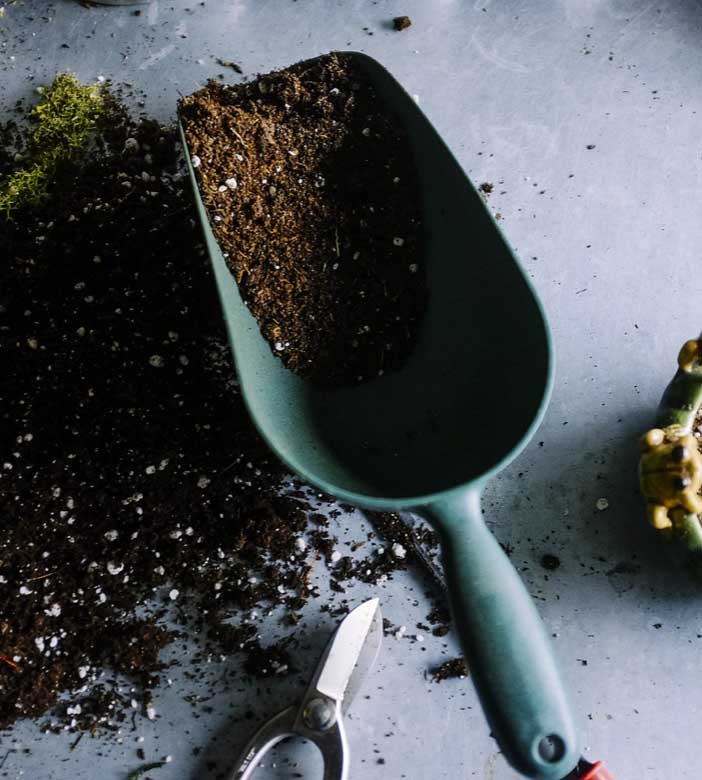 uploads/images/February Planning