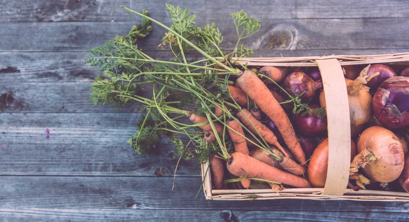 Beets & carrots with cumin & haydari