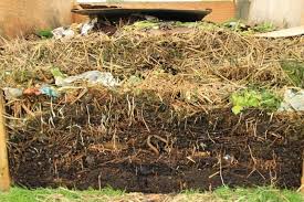 uploads/images/composting2.jpg