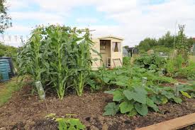 uploads/images/August