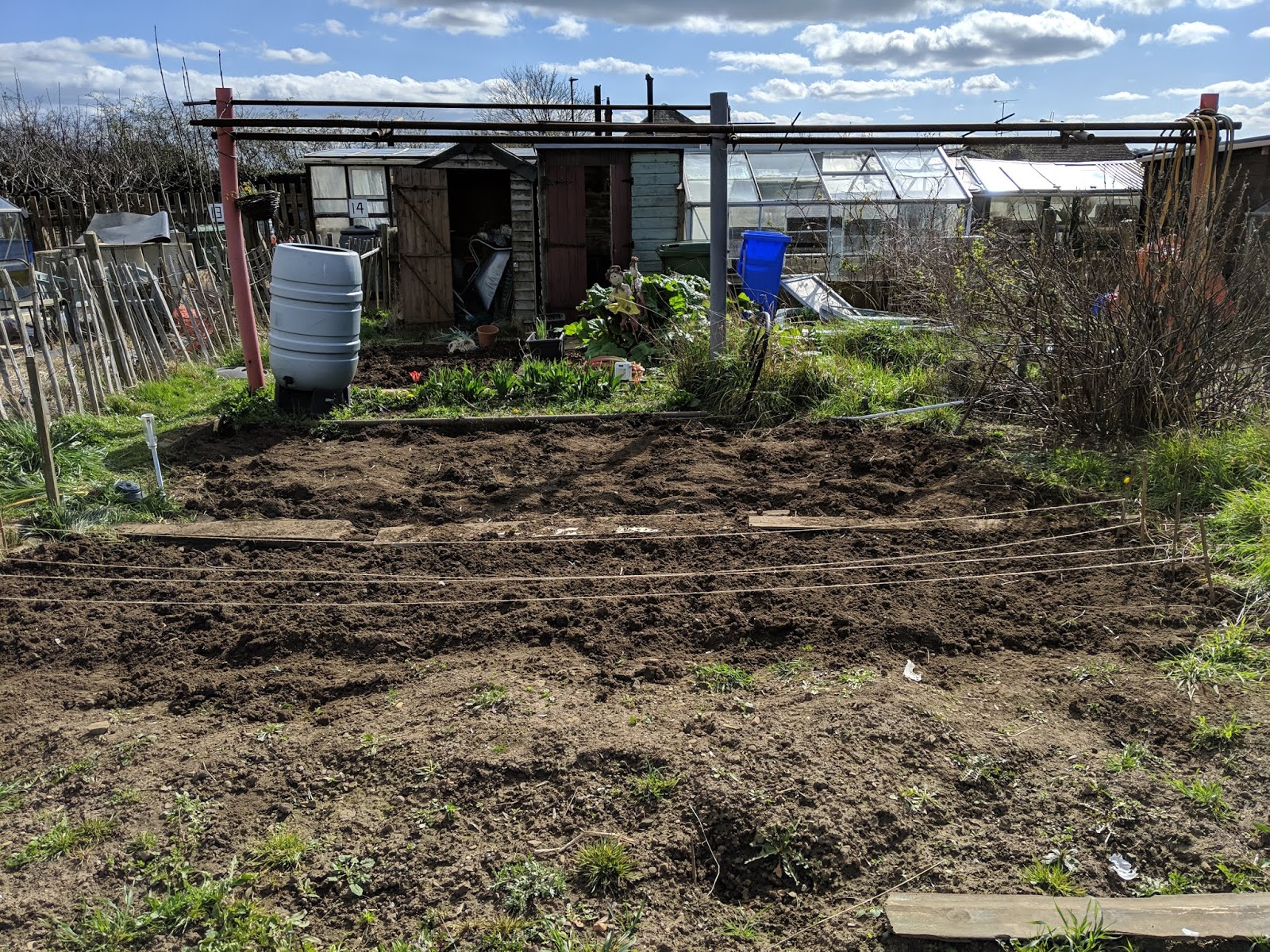 uploads/images/November