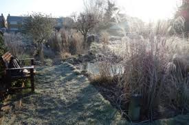 uploads/images/February