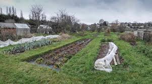 uploads/images/March