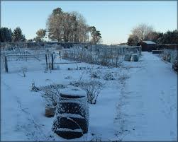 uploads/images/January