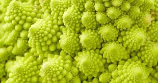 uploads/images/download (51).jpg