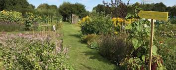 uploads/images/images - 2020-09-17T184413.175.jpg