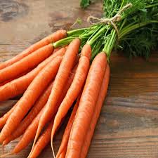 uploads/images/download (58).jpg