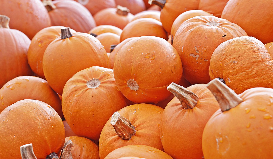 uploads/images/pumpkin-4461665_960_720.jpg