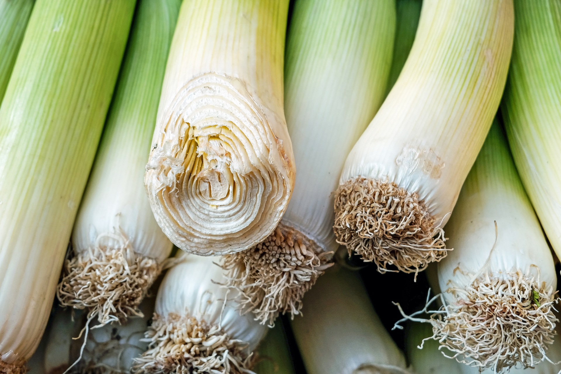 uploads/images/Leeks