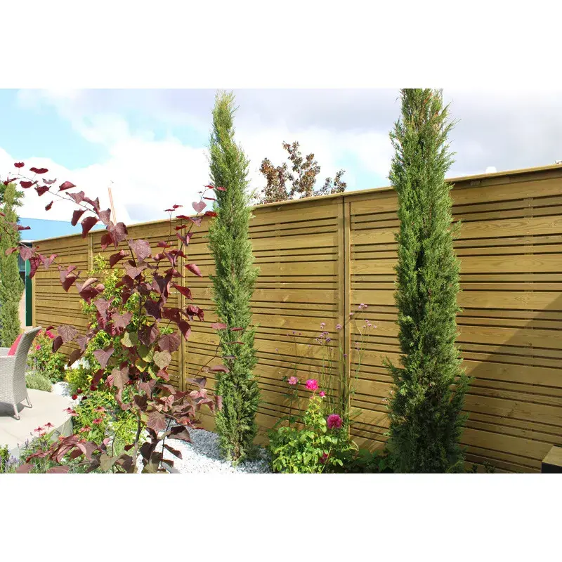 uploads/images/Panel