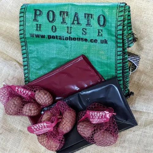 uploads/images/Potato House Patio Pack 3 Nets Black