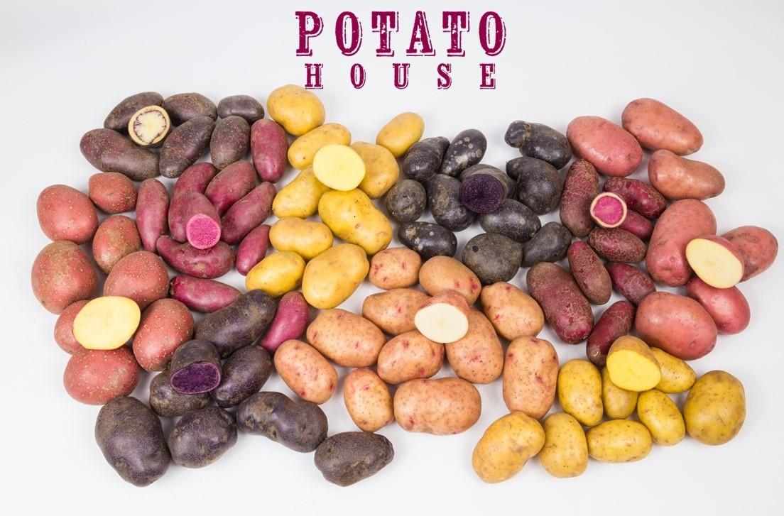 uploads/images/Potato House Logo with potatoes