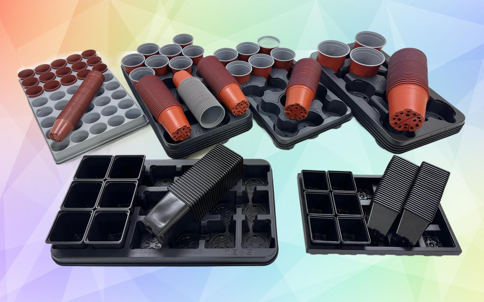 uploads/images/Photo 01