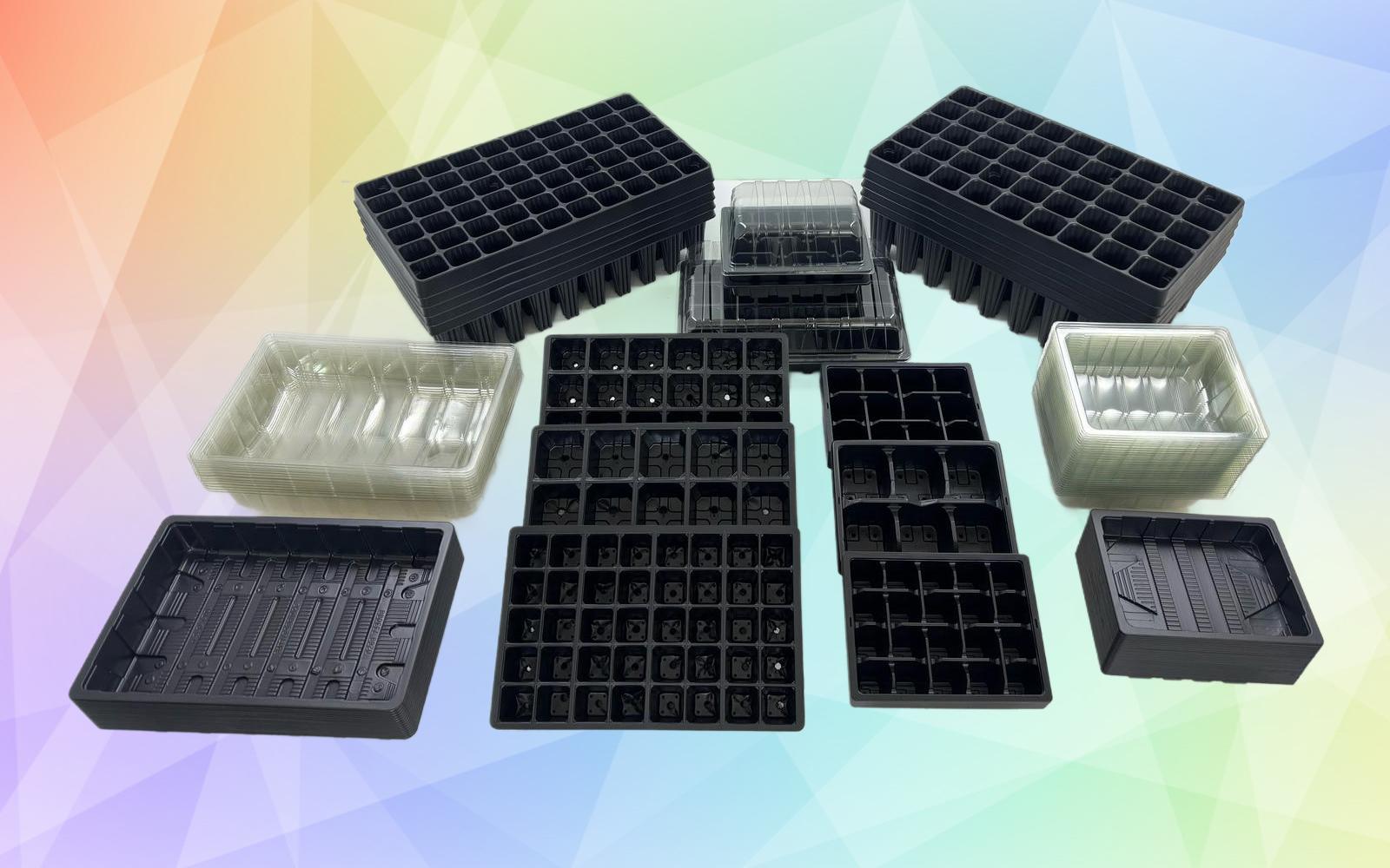 uploads/images/Photo 04