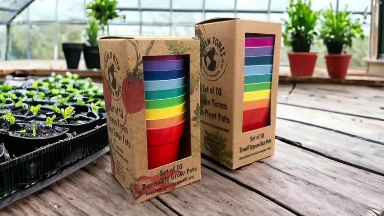 uploads/images/Photoroom_20240205_172705