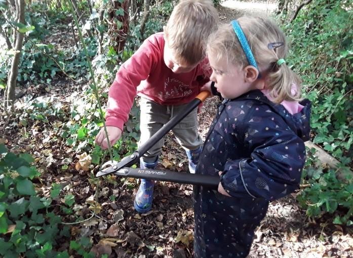 uploads/images/Picture1