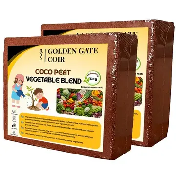 uploads/images/Picture18