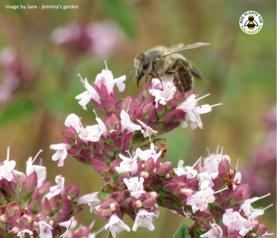 uploads/images/Picture21 1