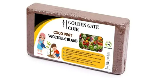 uploads/images/Picture29