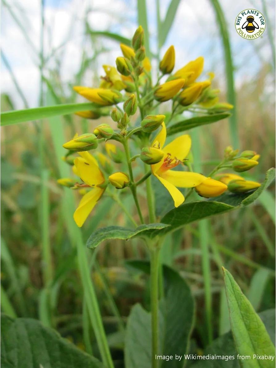 uploads/images/Picture3 16