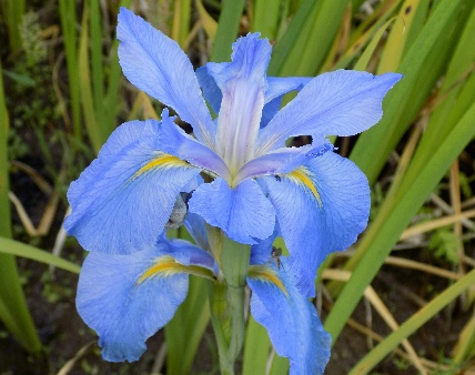 uploads/images/Picture3 6eff9b8d76ead69cab31c12df59ab0a4