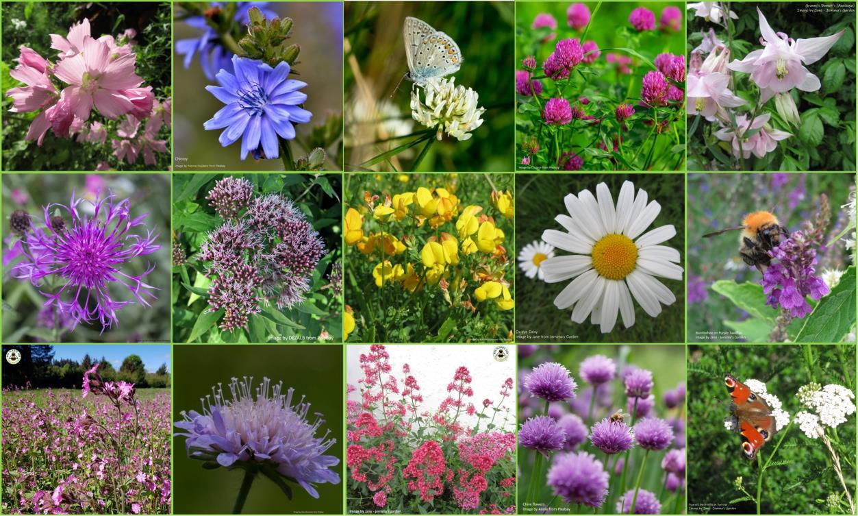 uploads/images/Picture3