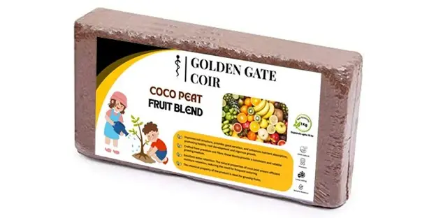 uploads/images/Picture38