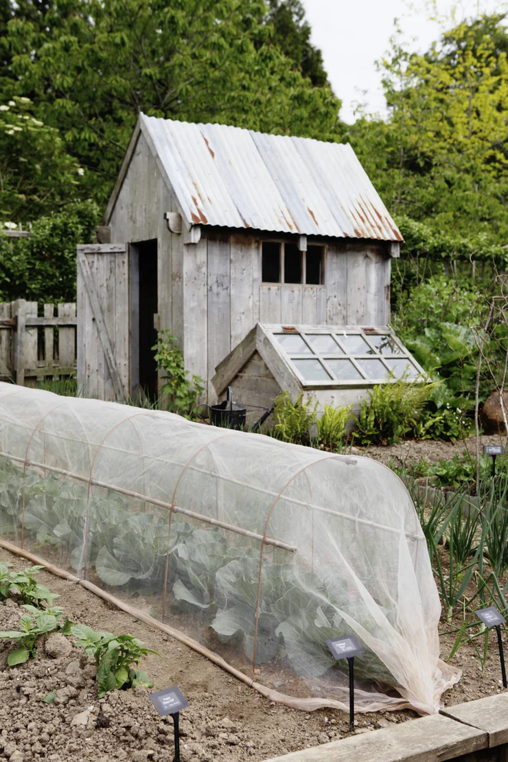 uploads/images/Plant Tunnel Fruit Veg Cloche Rusty Grande 6_740x
